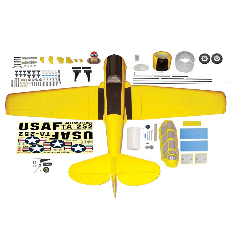 the world models rc planes