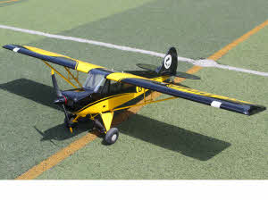 Aviat A-1C Christen Husky, Seagull